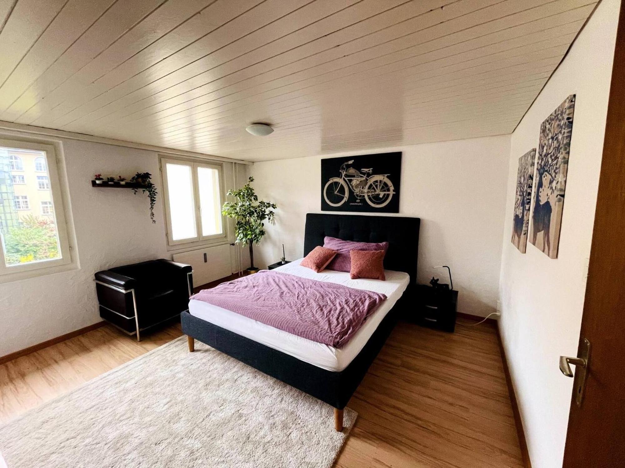 Newly Furnished Beautiful Old Building Apartment In The Center With Apple Tv 세인트갈렌 외부 사진